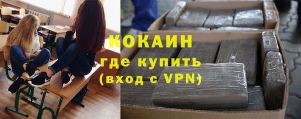 хмурый Снежногорск