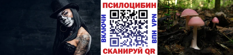 Псилоцибиновые грибы Cubensis  Кропоткин 