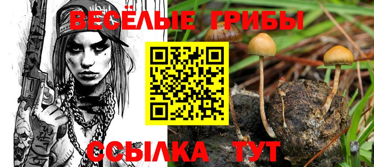 Псилоцибиновые грибы Cubensis Кропоткин