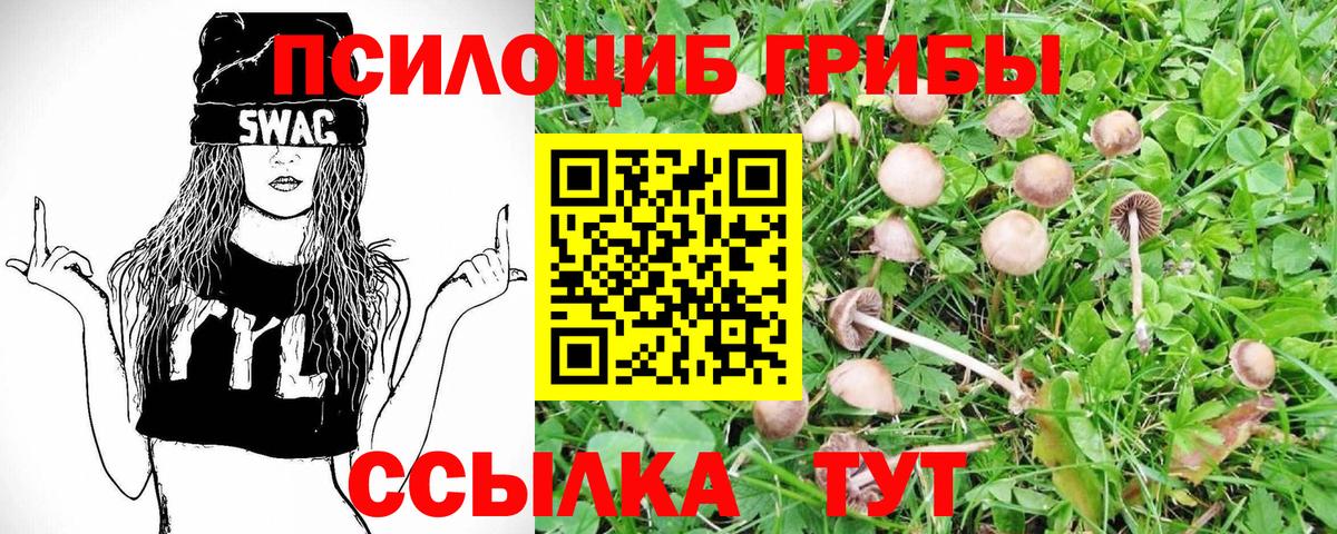 Галлюциногенные грибы Psilocybe  Галлюциногенные грибы GOLDEN TEACHER  Вход с VPN  Кропоткин 